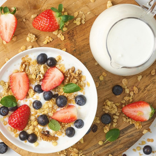 강훈목장 수제 요거트 500ml x 3개